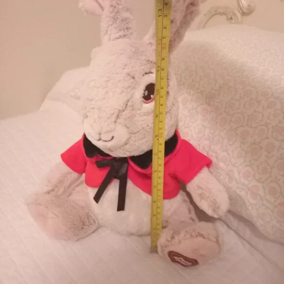 Peter Rabbit Plushie - Picture 2 of 10